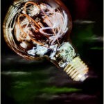 F_Saunders_BulbCloud F_Saunders_BulbCloud