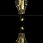 JR Lightbulb JR Lightbulb
