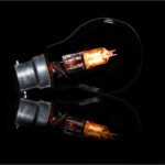 Lamplight Lamplight